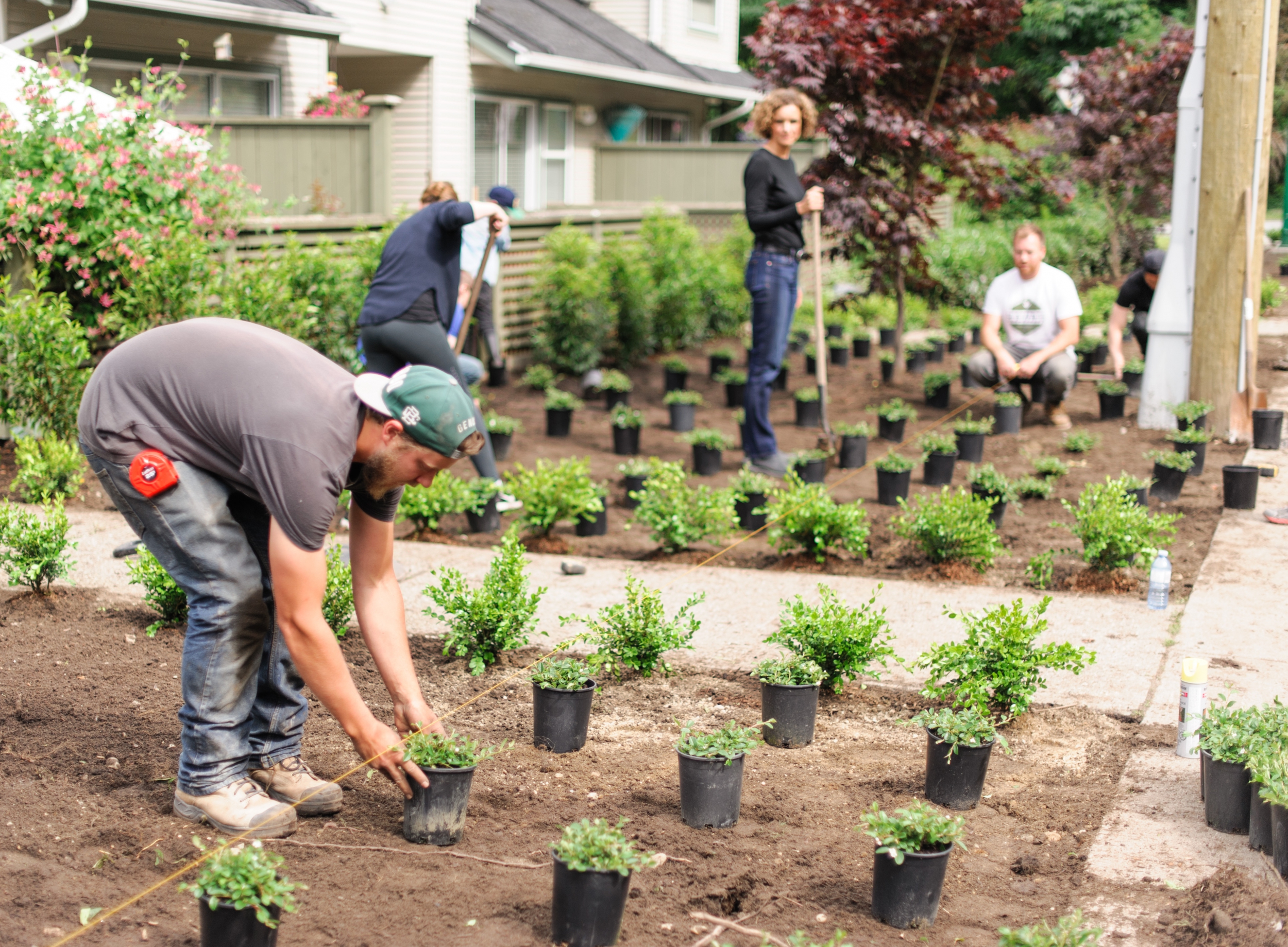 Lions Club Landscape Event Team Planting