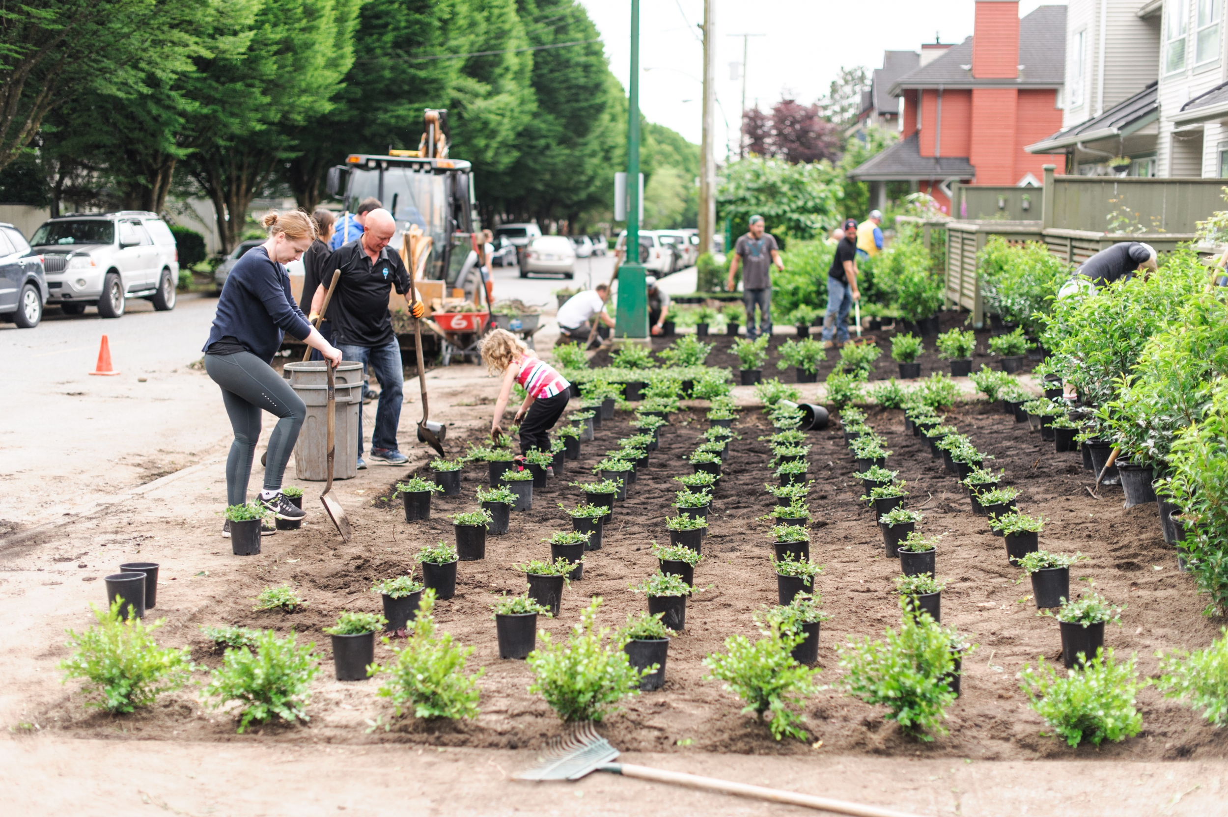 Lions Club and Mosaic New Landscaping Installed